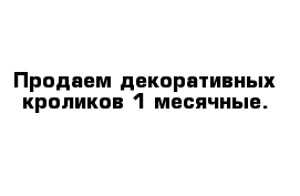 Продаем декоративных кроликов 1 месячные.